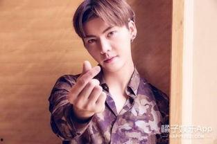 陈伟霆吃瓜娱乐,揭秘明星幕后趣闻  第2张